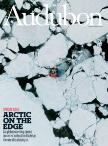 Audubon. Arctic on the Edge.